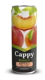 CAPPY BAHÇE KUTU 330 ML ŞEFTALİ