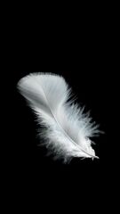 Beyaz Kuş Tüyü Süsleme 100 Adet