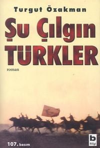 ŞU ÇILGIN TÜRKLER