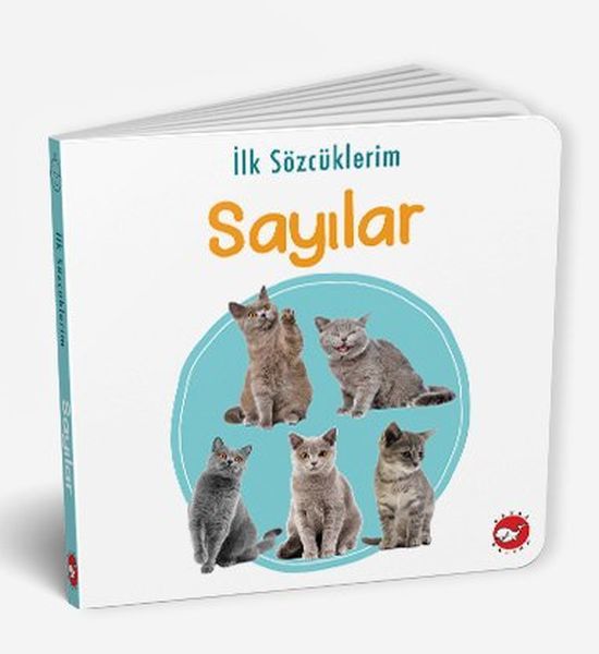 Beyaz Balina Yayınları İlk Sözcüklerim Sayılar