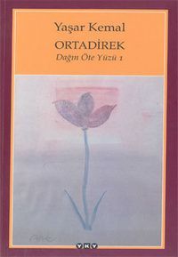 ORTA DİREK DAĞIN ÖTE YÜZÜ
