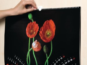 Tesa Resim Askısı İz Bırakmadan Sökülebilir