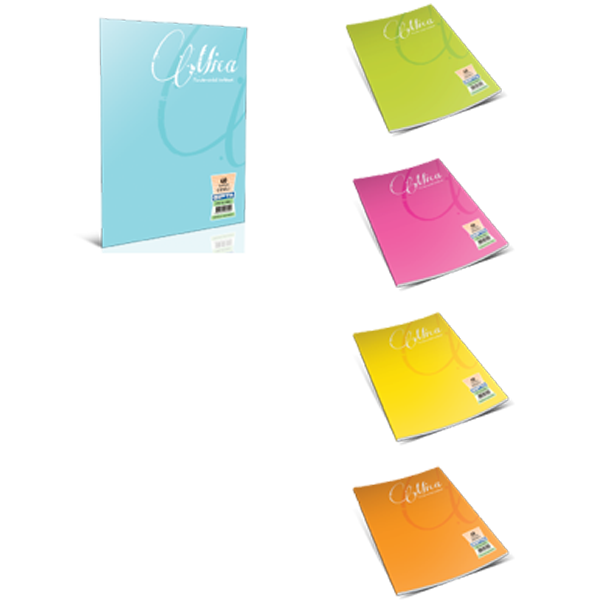 Gıpta Defter (Dikişli ) Mica Plastik Kapak Çizgili 60 YP A4
