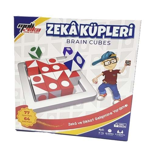 Zeka Küpleri