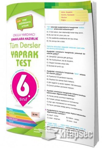 6.Sınıf Element Yayınları Tüm Dersler Yaprak Test