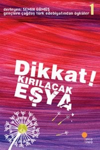 Günışığı Kitaplığı Dikkat Kırılacak Eşya-Gençlere Çağdaş Türk Edebiyatından Öyküler 1