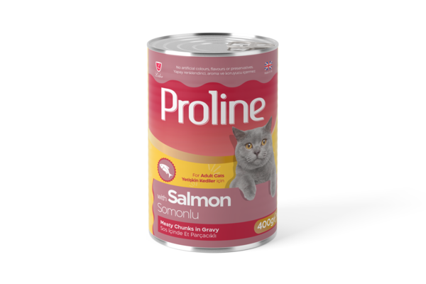 PROLİNE KEDİ KONS.SOMONLU 400GR*12..(001)