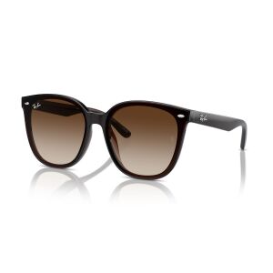 Ray-Ban RB4423D 714/13 66 Unisex Güneş Gözlüğü