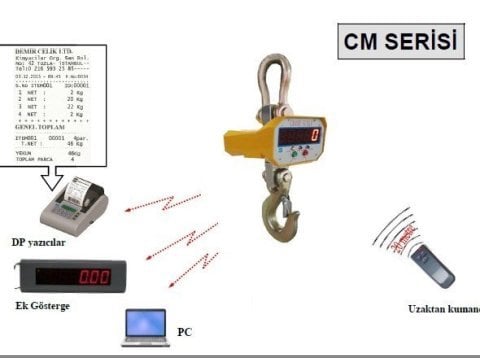 CK 15 Ton Printerli Vinç Baskülü