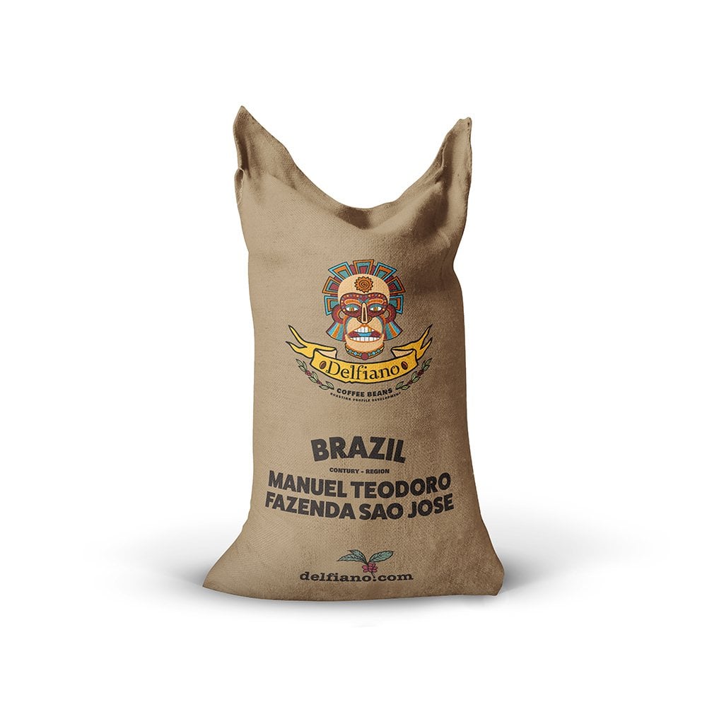 Brazil Manuel Teodoro Fazenda Sao Jose