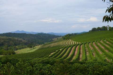 Brazil Manuel Teodoro Fazenda Sao Jose