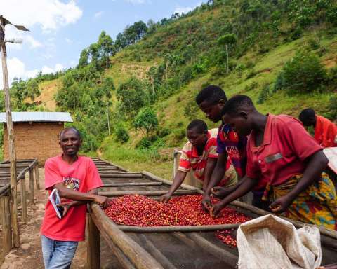 Ethiopia Sidamo Gr.2, Helen Gebrenigus