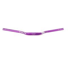 Enlee BH-40 Alüminyum Mor 31.8 780mm Riser Mtb Gidonu