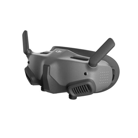 DJI Goggles 2 Motion Combo (DJI RC Motion 2)