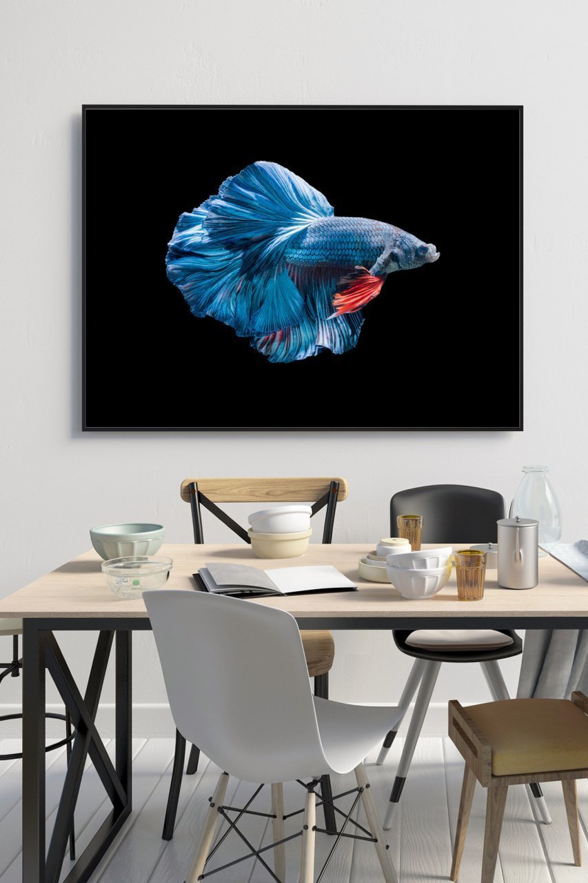 50x60 cm Mavi Balık Desenli 4 mm Temperli Cam Tablo