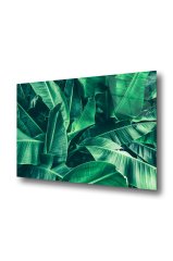 50x60 cm Yeşil Yapraklar Desenli 4 mm Temperli Cam Tablo