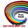 Neon Ledler 220 Volt