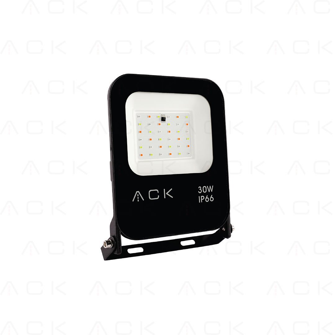 ACK 30W Rgb Kumandalı Led Projektör AT62-03092