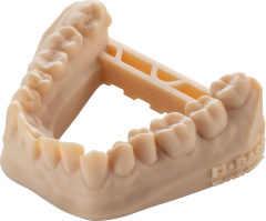 BASF Ultracur3D DM 2505 Dental Reçine