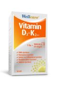 Wellcare Vitamin D3 + K2 25 mcg 1000 IU 12 ML