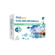 Wellcare Uniq Omega 3 Balık Yağı 750 Mg 30 Kapsül