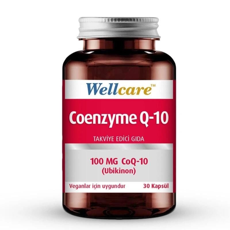 Wellcare Coenzyme Q10 100 Mg 30 Kapsül