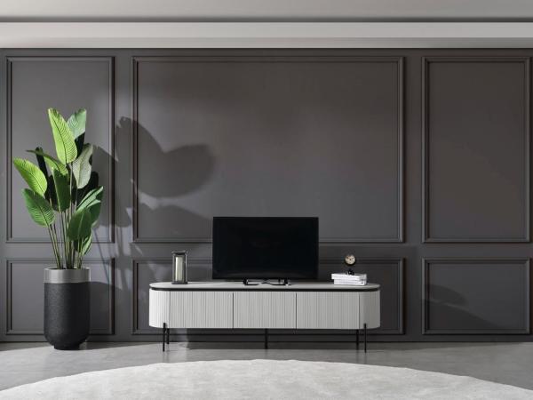 TESLA PLUS TV SEHPASI