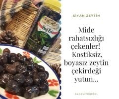 Siyah Gemlik Zeytin 1kg