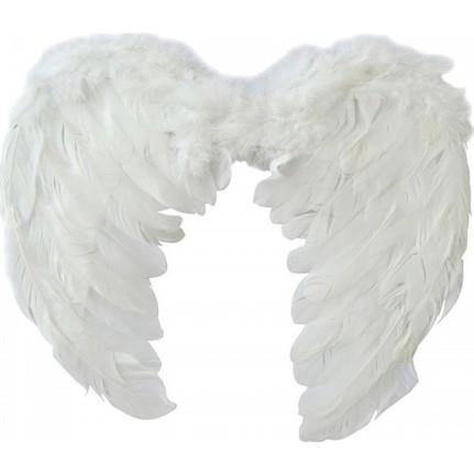 BÜYÜK MELEK KANAT BEYAZ