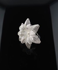 925 Ayar Gümüş Yüzük