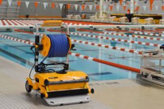 Dolphin Wave 300 Xl Otomatik Havuz Robotu
