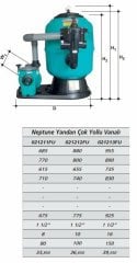 Gemaş Neptune Filtrasyon Ünitesi 450 mm Polyester Kum Filtresiyle 1/2 HP Pompa