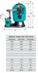 Gemaş Neptune Filtrasyon Ünitesi 500 mm Polyester Kum Filtresiyle 3/4 HP Pompa