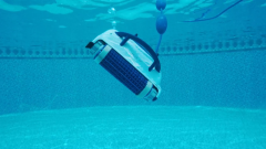 Dolphin Pool Up Havuz Robotu