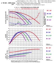 Nozbart İlk Seri 1 Hp Monofaze Havuz Pompası