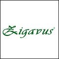 ZİGAVUS