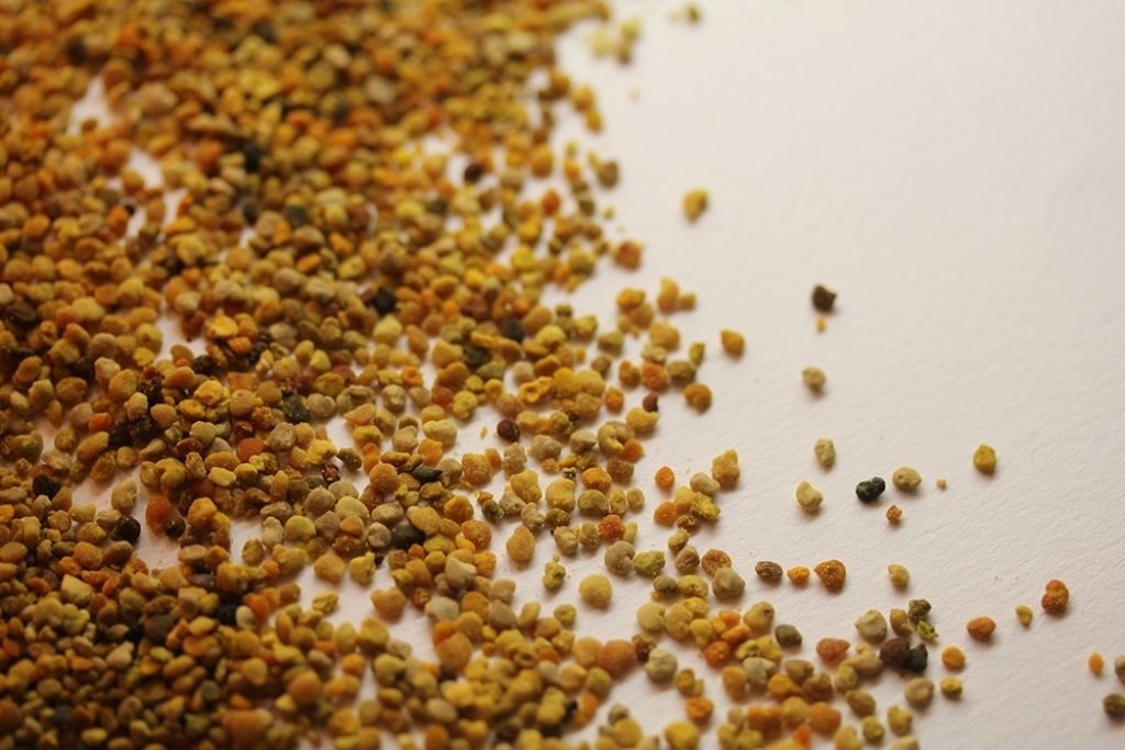 Pollen nativo (100 gr)