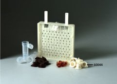60044- Cell Body Plastic
