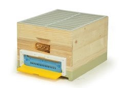 60005-Mother Bee Grid PLASTIC (42cmx50cm)