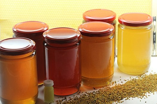 Μέλι πεύκου (450 γρ.)