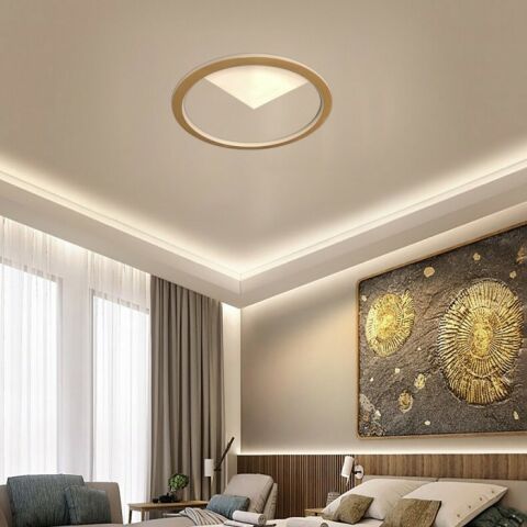 Plafonyer Led Avize Rotund Light PLP54104U
