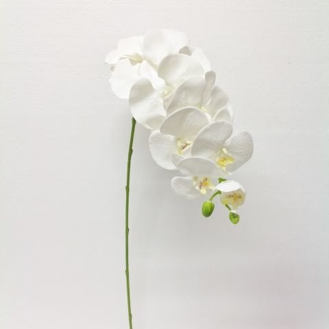 Yapay Orkide Krem