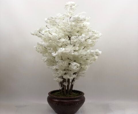 Yapay Bahardalı  Ağaç 160cm Beyaz
