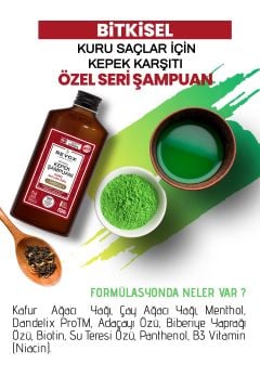 Bitkisel Kepeğe Karşı Etkili Şampuan Tuzsuz Sülfatsız / Kuru Saçlar için