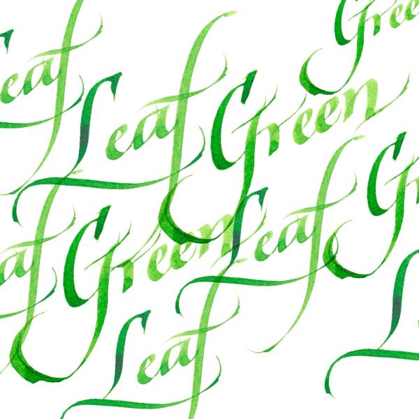 Winsor & Newton Kaligrafi Mürekkebi 30 Ml Leaf Green 294