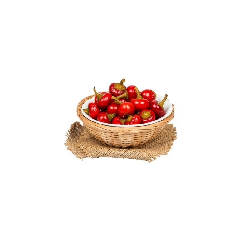 Acı Yakantop Süs Biber Tohumu (390 tohum)