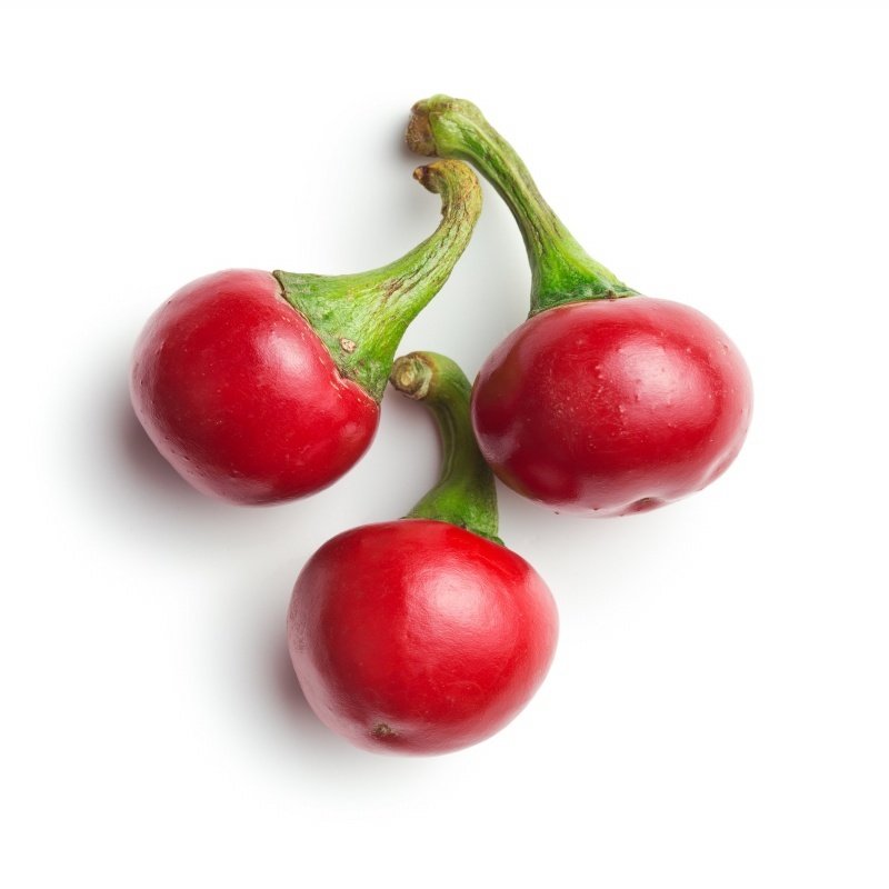 Ufak Cherry Acı Biber Tohumu (20 tohum)