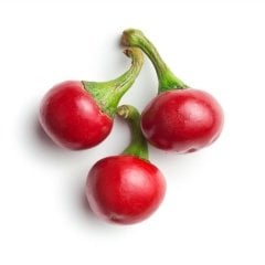 Ufak Cherry Acı Biber Tohumu (20 tohum)