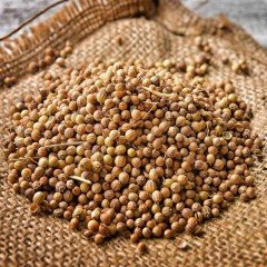 Kişniş Tohumu Doğal (Aşotu) (1 kg)