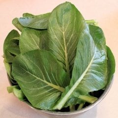 Geniş Yaprak Tendergreen Hardal Tohumu(90 tohum)